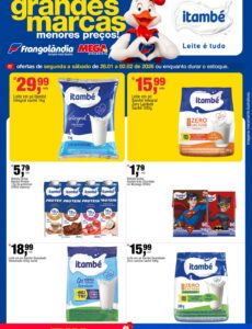 Frangolândia Frangolândia